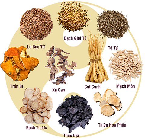 ĐÔNG Y CÓ NHIỀU KINH NGHIỆM PHONG PHÚ TRONG ĐIỀU TRỊ HO, VIÊM PHẾ QUẢN, VIÊM PHỔI KHÔNG CHỈ “TRỊ TRIỆU CHỨNG” NGỌN CỦA BỆNH MÀ CÒN “TRỊ GỐC BỆNH”